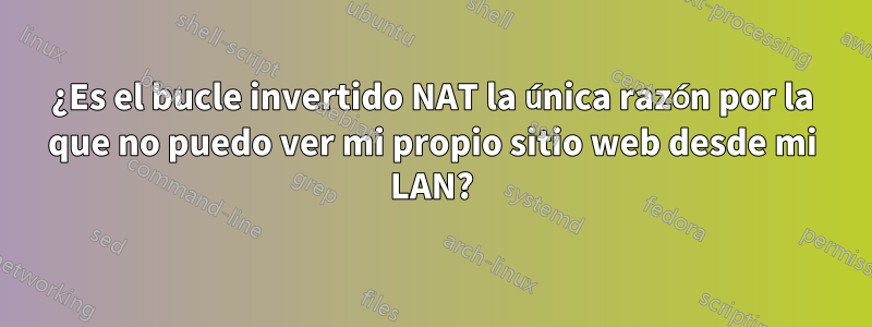 ¿Es el bucle invertido NAT la única razón por la que no puedo ver mi propio sitio web desde mi LAN?