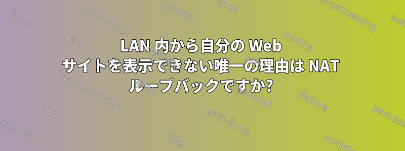 LAN 内から自分の Web サイトを表示できない唯一の理由は NAT ループバックですか?