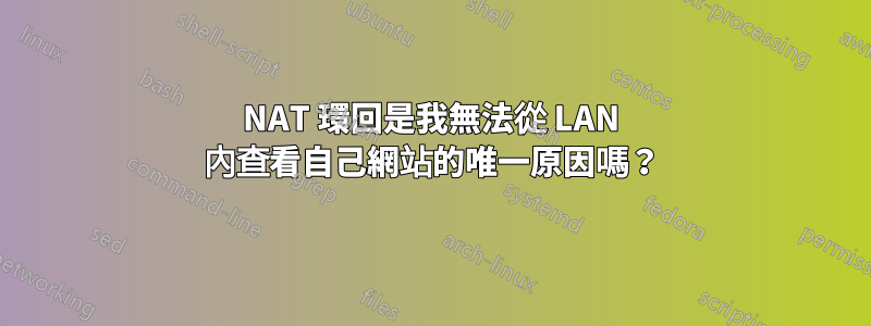 NAT 環回是我無法從 LAN 內查看自己網站的唯一原因嗎？