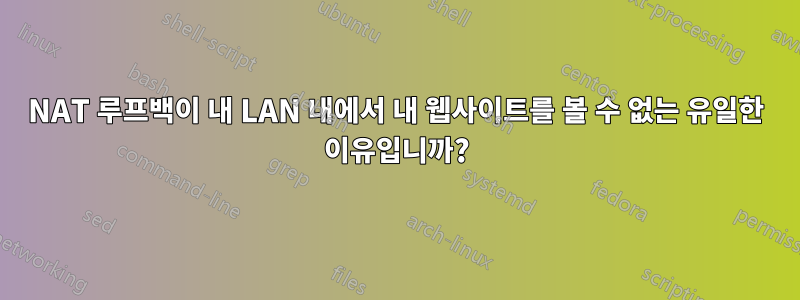 NAT 루프백이 내 LAN 내에서 내 웹사이트를 볼 수 없는 유일한 이유입니까?