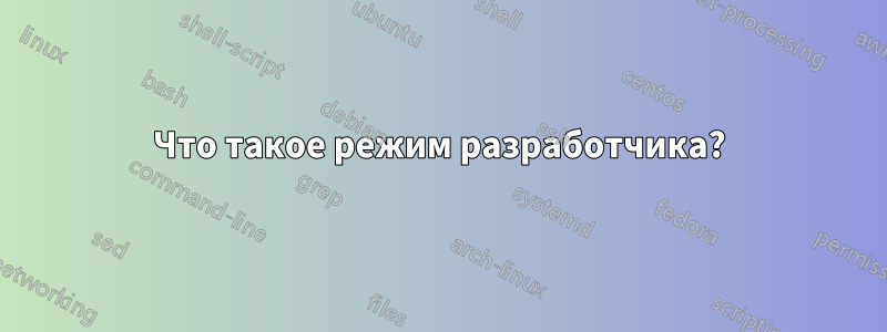 Что такое режим разработчика?