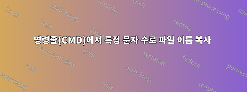 명령줄(CMD)에서 특정 문자 수로 파일 이름 복사