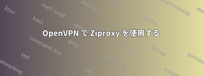 OpenVPN で Ziproxy を使用する