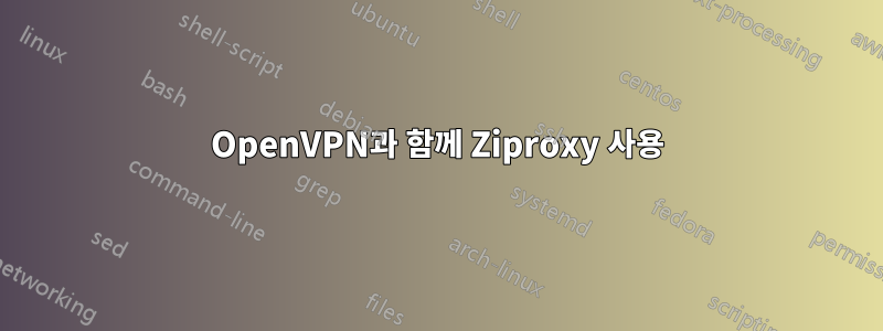 OpenVPN과 함께 Ziproxy 사용