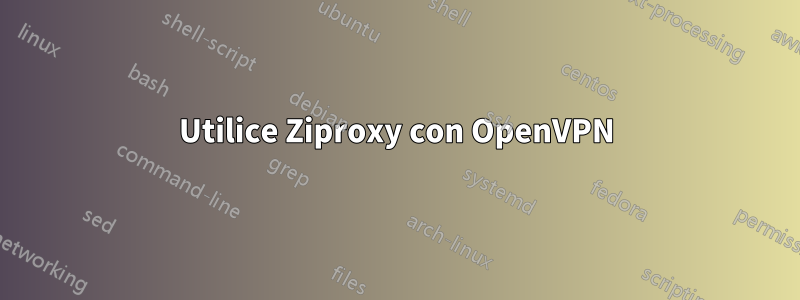 Utilice Ziproxy con OpenVPN