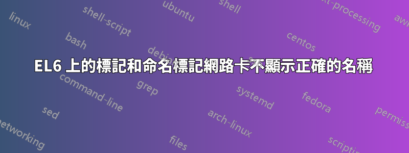 EL6 上的標記和命名標記網路卡不顯示正確的名稱