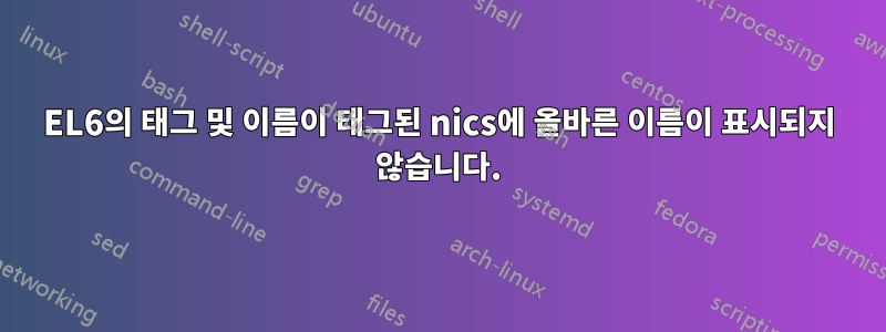 EL6의 태그 및 이름이 태그된 nics에 올바른 이름이 표시되지 않습니다.