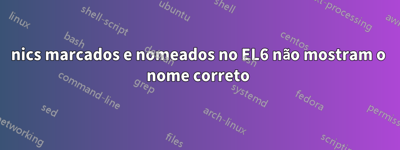 nics marcados e nomeados no EL6 não mostram o nome correto