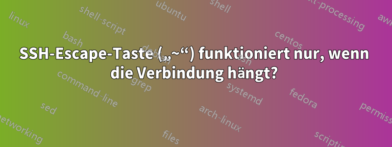 SSH-Escape-Taste („~“) funktioniert nur, wenn die Verbindung hängt?