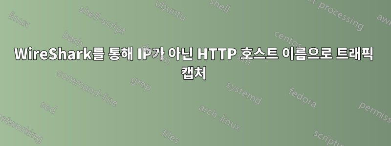 WireShark를 통해 IP가 아닌 HTTP 호스트 이름으로 트래픽 캡처