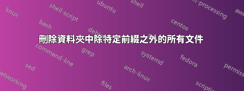 刪除資料夾中除特定前綴之外的所有文件