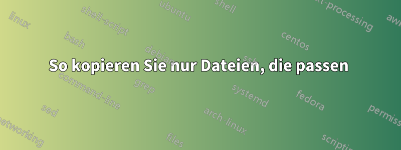 So kopieren Sie nur Dateien, die passen