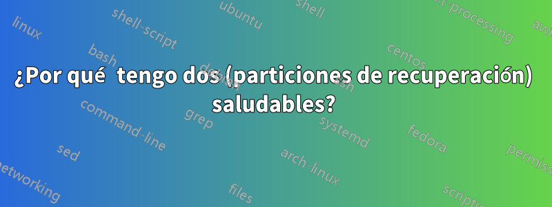 ¿Por qué tengo dos (particiones de recuperación) saludables?