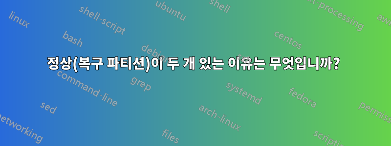 정상(복구 파티션)이 두 개 있는 이유는 무엇입니까?