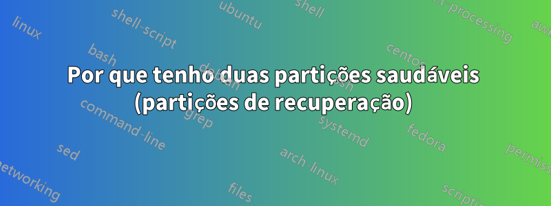 Por que tenho duas partições saudáveis ​​(partições de recuperação)