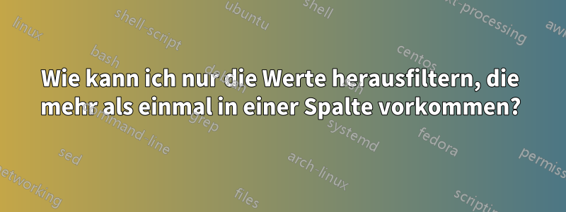 Wie kann ich nur die Werte herausfiltern, die mehr als einmal in einer Spalte vorkommen?