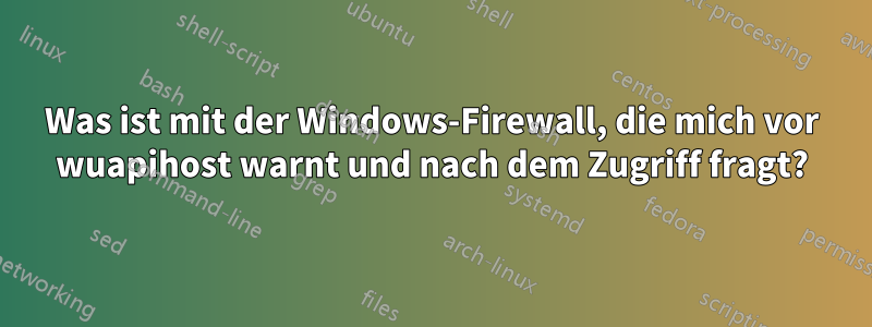 Was ist mit der Windows-Firewall, die mich vor wuapihost warnt und nach dem Zugriff fragt?