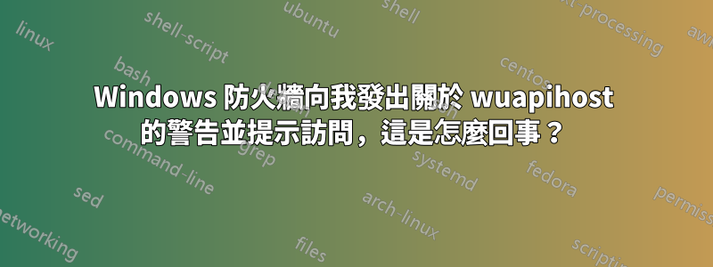 Windows 防火牆向我發出關於 wuapihost 的警告並提示訪問，這是怎麼回事？