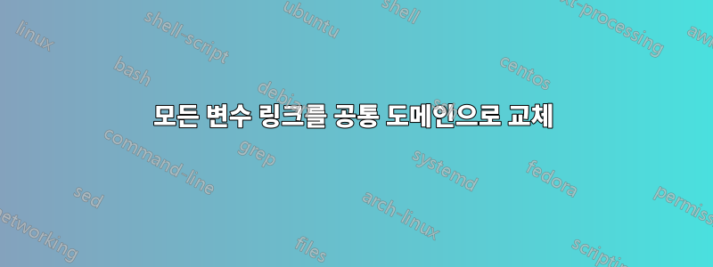 모든 변수 링크를 공통 도메인으로 교체