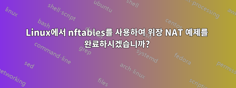 Linux에서 nftables를 사용하여 위장 NAT 예제를 완료하시겠습니까?