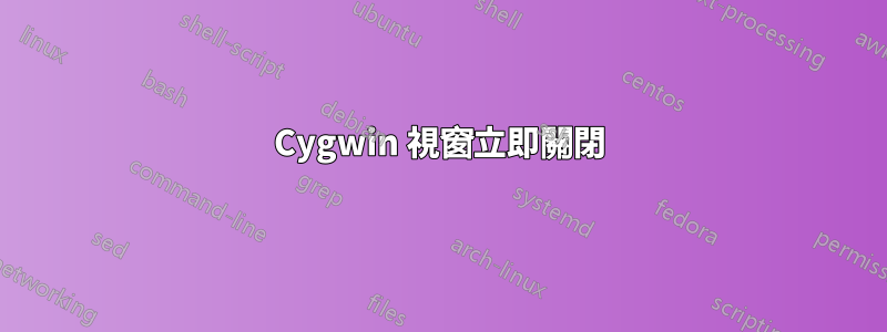 Cygwin 視窗立即關閉