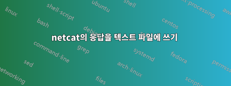 netcat의 응답을 텍스트 파일에 쓰기