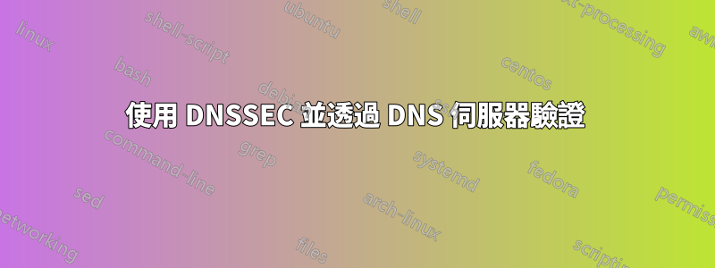 使用 DNSSEC 並透過 DNS 伺服器驗證