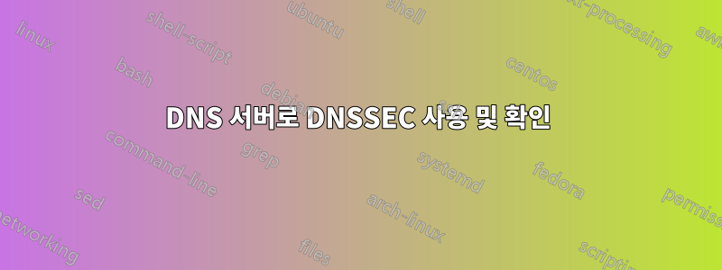 DNS 서버로 DNSSEC 사용 및 확인