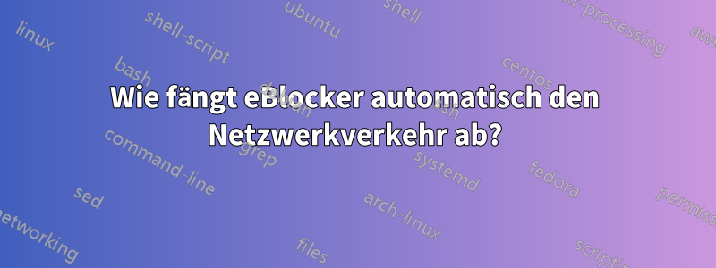 Wie fängt eBlocker automatisch den Netzwerkverkehr ab?