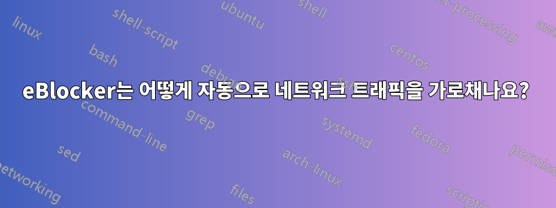 eBlocker는 어떻게 자동으로 네트워크 트래픽을 가로채나요?