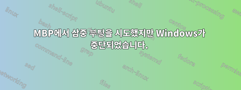 MBP에서 삼중 부팅을 시도했지만 Windows가 중단되었습니다.