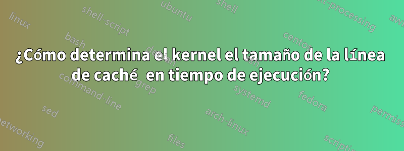 ¿Cómo determina el kernel el tamaño de la línea de caché en tiempo de ejecución?