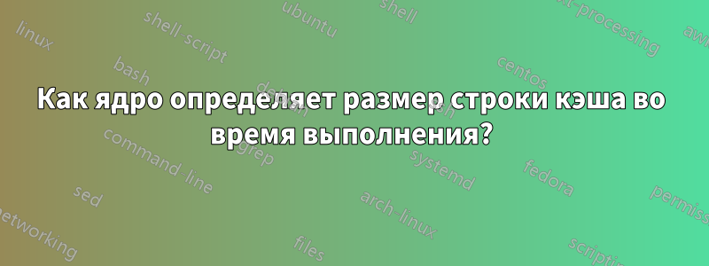 Как ядро ​​определяет размер строки кэша во время выполнения?