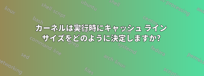 カーネルは実行時にキャッシュ ライン サイズをどのように決定しますか?