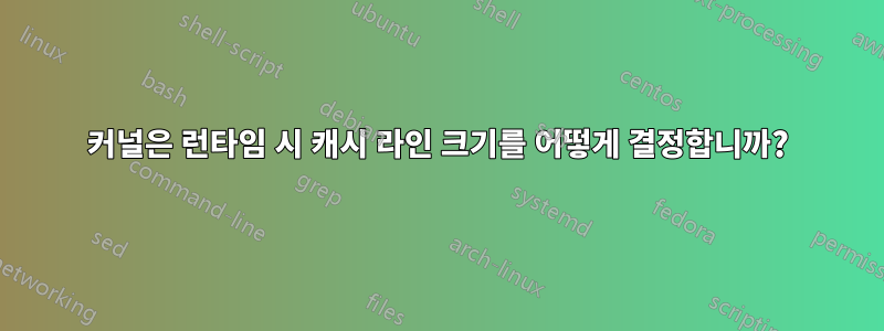 커널은 런타임 시 캐시 라인 크기를 어떻게 결정합니까?