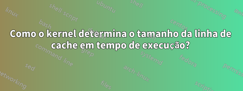 Como o kernel determina o tamanho da linha de cache em tempo de execução?