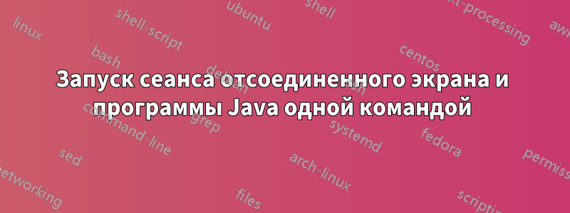 Запуск сеанса отсоединенного экрана и программы Java одной командой