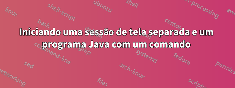 Iniciando uma sessão de tela separada e um programa Java com um comando