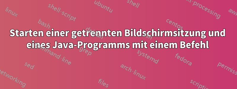 Starten einer getrennten Bildschirmsitzung und eines Java-Programms mit einem Befehl