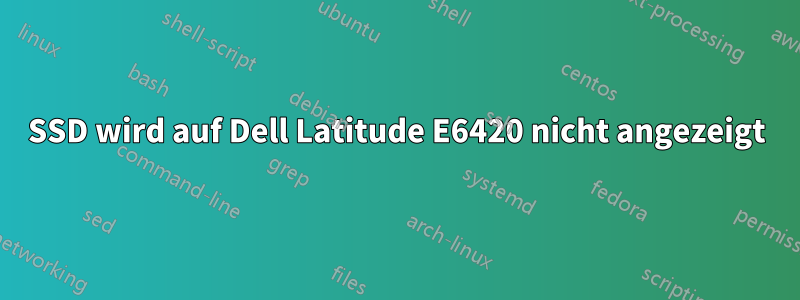 SSD wird auf Dell Latitude E6420 nicht angezeigt