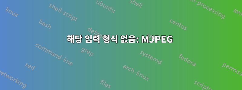 해당 입력 형식 없음: MJPEG