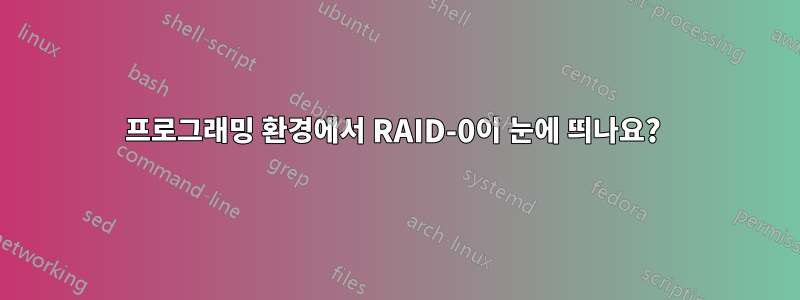 프로그래밍 환경에서 RAID-0이 눈에 띄나요? 