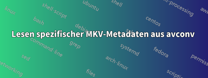 Lesen spezifischer MKV-Metadaten aus avconv