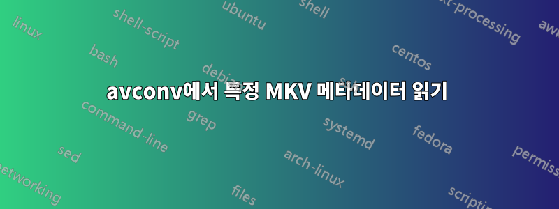 avconv에서 특정 MKV 메타데이터 읽기