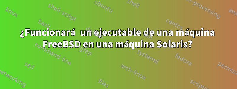 ¿Funcionará un ejecutable de una máquina FreeBSD en una máquina Solaris?