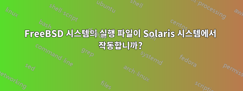 FreeBSD 시스템의 실행 파일이 Solaris 시스템에서 작동합니까?