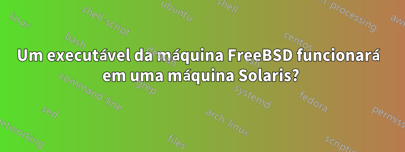 Um executável da máquina FreeBSD funcionará em uma máquina Solaris?