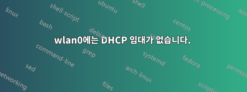 wlan0에는 DHCP 임대가 없습니다.