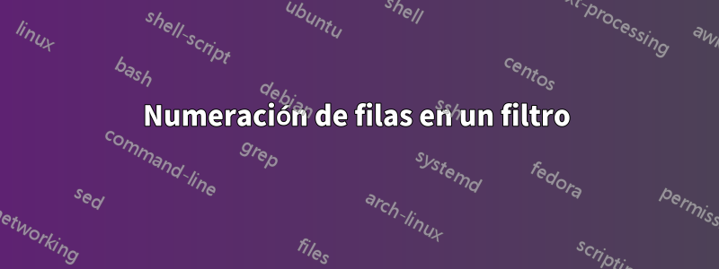 Numeración de filas en un filtro