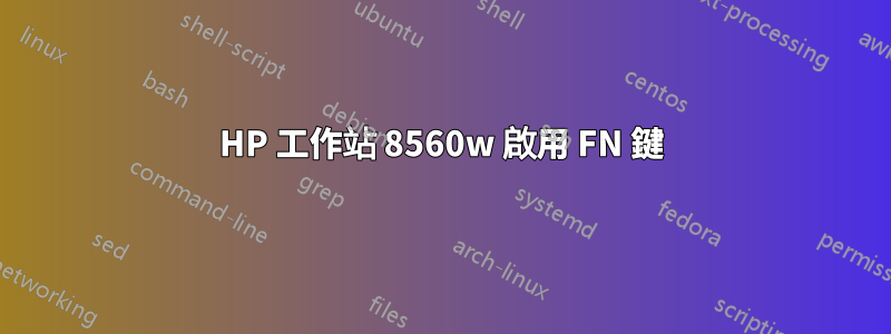 HP 工作站 8560w 啟用 FN 鍵